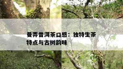 曼弄普洱茶口感：特别生茶特点与古树韵味