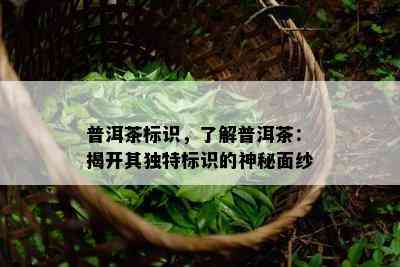 普洱茶标识，了解普洱茶：揭开其独特标识的神秘面纱