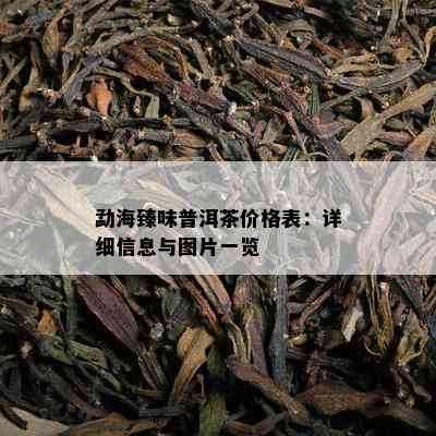 勐海臻味普洱茶价格表：详细信息与图片一览