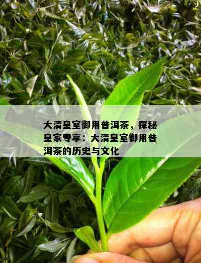 大清皇室御用普洱茶，探秘皇家专享：大清皇室御用普洱茶的历史与文化