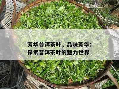 芳华普洱茶叶，品味芳华：探索普洱茶叶的魅力世界