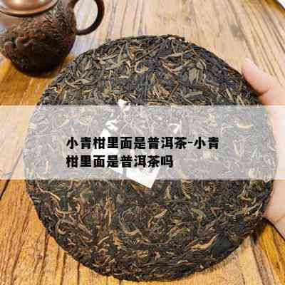 小青柑里面是普洱茶-小青柑里面是普洱茶吗