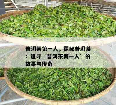 普洱茶之一人，探秘普洱茶：追寻‘普洱茶之一人’的故事与传奇