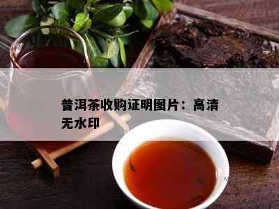 普洱茶收购证明图片：高清无水印