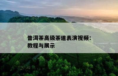 普洱茶高级茶道表演视频：教程与展示