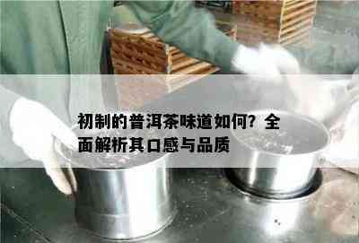 初制的普洱茶味道怎样？全面解析其口感与品质