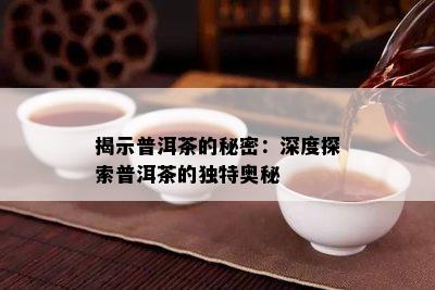 揭示普洱茶的秘密：深度探索普洱茶的特别奥秘