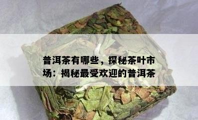 普洱茶有哪些，探秘茶叶市场：揭秘更受欢迎的普洱茶