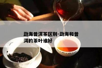 勐海普洱茶区别-勐海和普洱的茶叶谁好