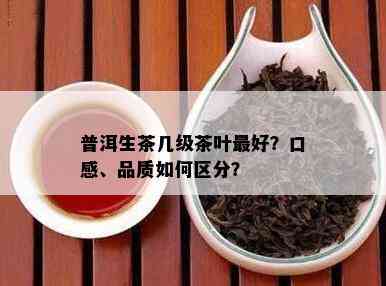 普洱生茶几级茶叶更好？口感、品质怎样区分？