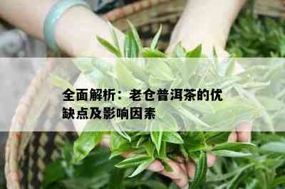 全面解析：老仓普洱茶的优缺点及作用因素