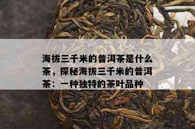 海拔三千米的普洱茶是什么茶，探秘海拔三千米的普洱茶：一种独特的茶叶品种