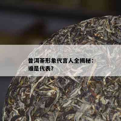 普洱茶形象代言人全揭秘：谁是代表？