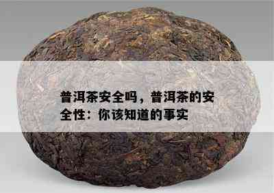 普洱茶安全吗，普洱茶的安全性：你该知道的事实