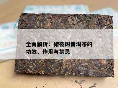 全面解析：橄榄树普洱茶的功效、作用与禁忌