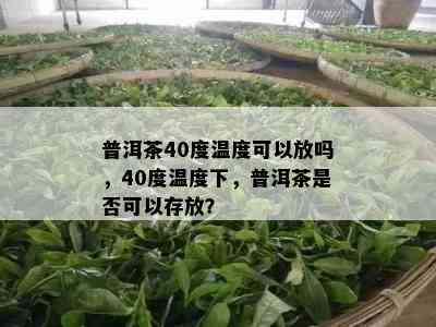 普洱茶40度温度可以放吗，40度温度下，普洱茶是否可以存放？