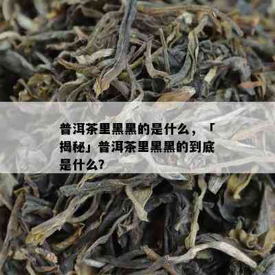 普洱茶里黑黑的是什么，「揭秘」普洱茶里黑黑的到底是什么？