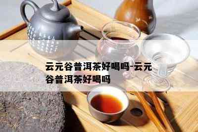 云元谷普洱茶好喝吗-云元谷普洱茶好喝吗