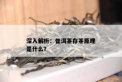 深入解析：普洱茶存茶原理是什么？