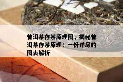 普洱茶存茶原理图，揭秘普洱茶存茶原理：一份详尽的图表解析