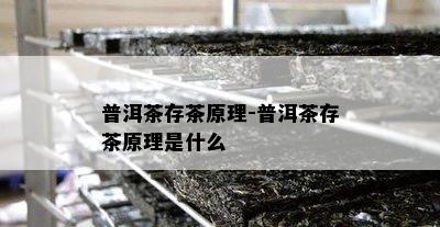 普洱茶存茶原理-普洱茶存茶原理是什么