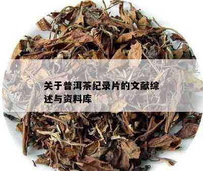 关于普洱茶纪录片的文献综述与资料库