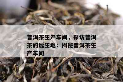 普洱茶生产车间，探访普洱茶的诞生地：揭秘普洱茶生产车间