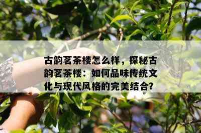 古韵茗茶楼怎么样，探秘古韵茗茶楼：怎样品味传统文化与现代风格的完美结合？