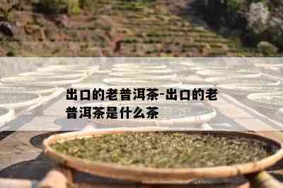 出口的老普洱茶-出口的老普洱茶是什么茶