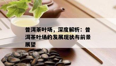 普洱茶叶场，深度解析：普洱茶叶场的发展现状与前景展望