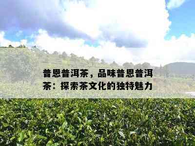 普恩普洱茶，品味普恩普洱茶：探索茶文化的独特魅力