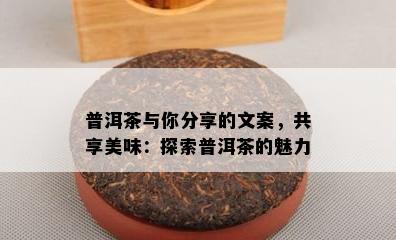 普洱茶与你分享的文案，共享美味：探索普洱茶的魅力