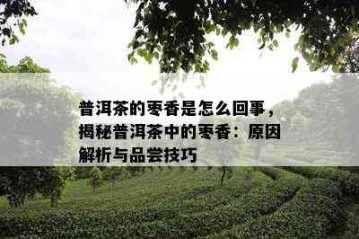 普洱茶的枣香是怎么回事，揭秘普洱茶中的枣香：原因解析与品尝技巧