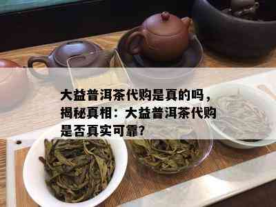 大益普洱茶代购是真的吗，揭秘真相：大益普洱茶代购是不是真实可靠？