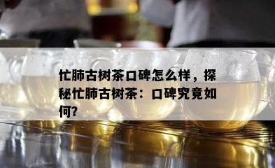 忙肺古树茶口碑怎么样，探秘忙肺古树茶：口碑究竟如何？