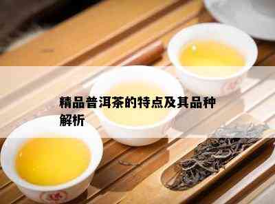 精品普洱茶的特点及其品种解析