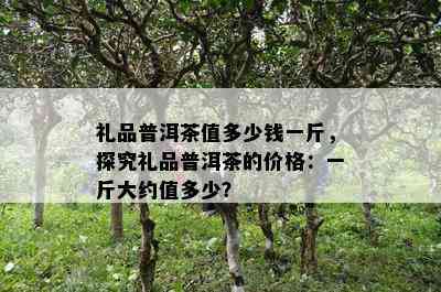 礼品普洱茶值多少钱一斤，探究礼品普洱茶的价格：一斤大约值多少？