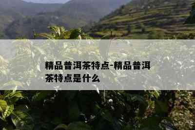 精品普洱茶特点-精品普洱茶特点是什么