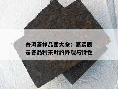 普洱茶样品图大全：高清展示各品种茶叶的外观与特性