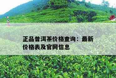 正品普洱茶价格查询：最新价格表及官网信息