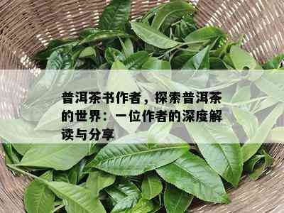 普洱茶书作者，探索普洱茶的世界：一位作者的深度解读与分享