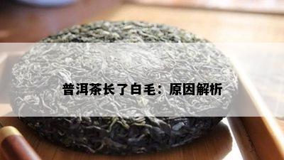 普洱茶长了白毛：原因解析