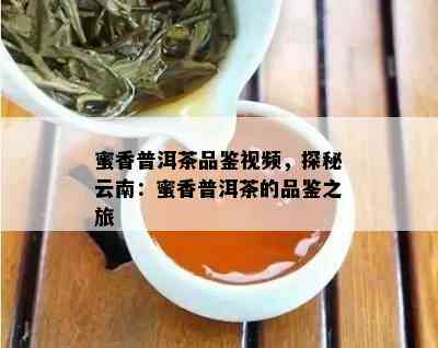 蜜香普洱茶品鉴视频，探秘云南：蜜香普洱茶的品鉴之旅