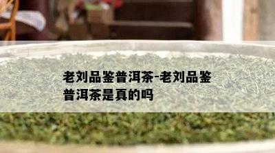 老刘品鉴普洱茶-老刘品鉴普洱茶是真的吗