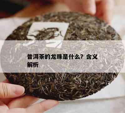 普洱茶的龙珠是什么？含义解析