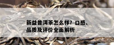 新益普洱茶怎么样？口感、品质及评价全面解析