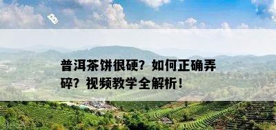 普洱茶饼很硬？怎样正确弄碎？视频教学全解析！