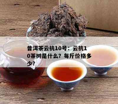 普洱茶云抗10号：云抗10茶树是什么？每斤价格多少？