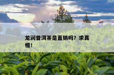 龙润普洱茶是直销吗？求真相！