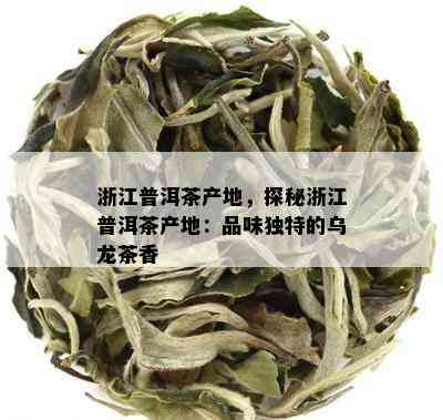 浙江普洱茶产地，探秘浙江普洱茶产地：品味独特的乌龙茶香